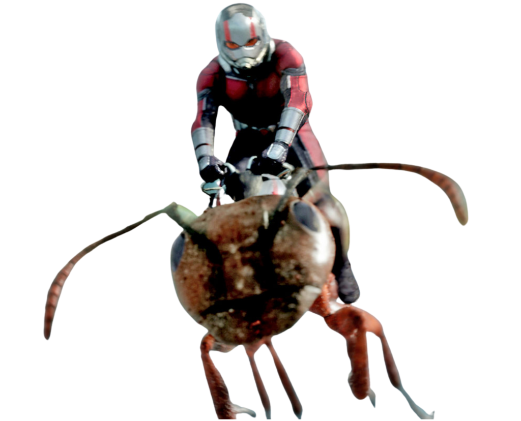 Monarch Moments – Hannah