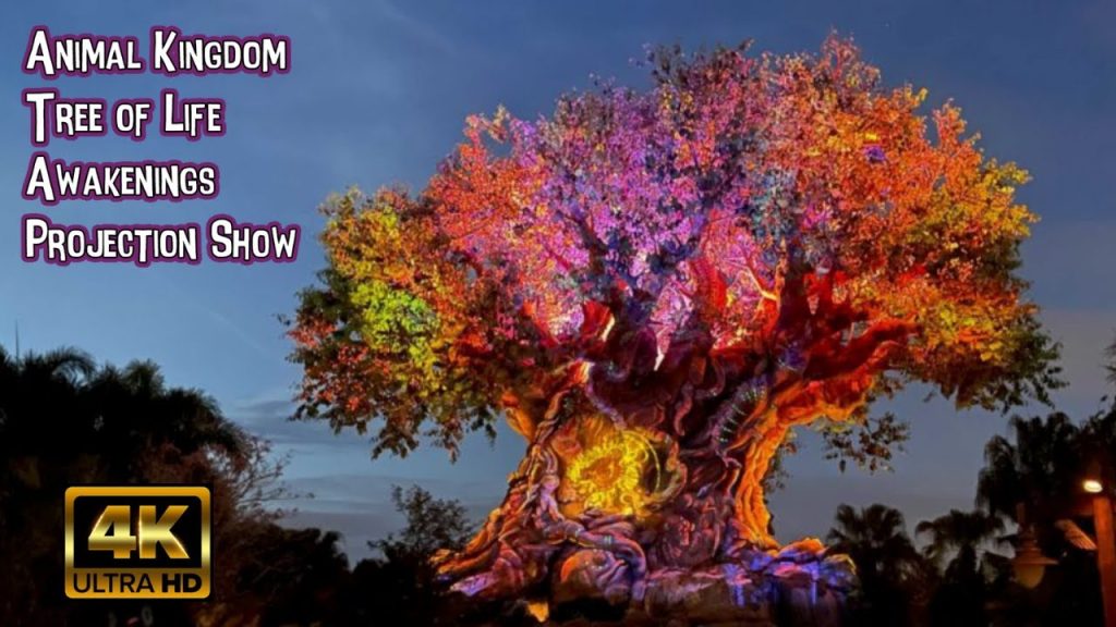 Animal Kingdom Awakenings Projection Show: Journey | 4K POV  | Tree of Life: Walt Disney World