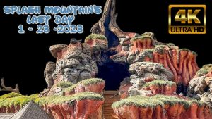 Disney Theme Park Live Streams