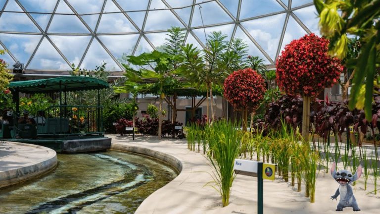 Ultimate Living with the Land Ride Experience in 8K