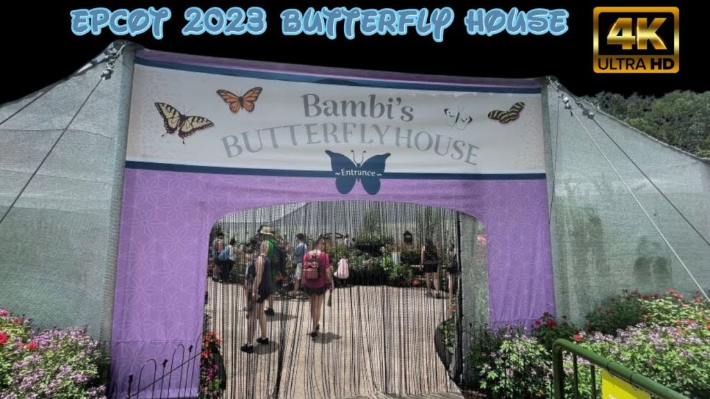 Epcot Butterfly Garden 2023 | 4K 60fps HD Stroll || Walt Disney World Resort
