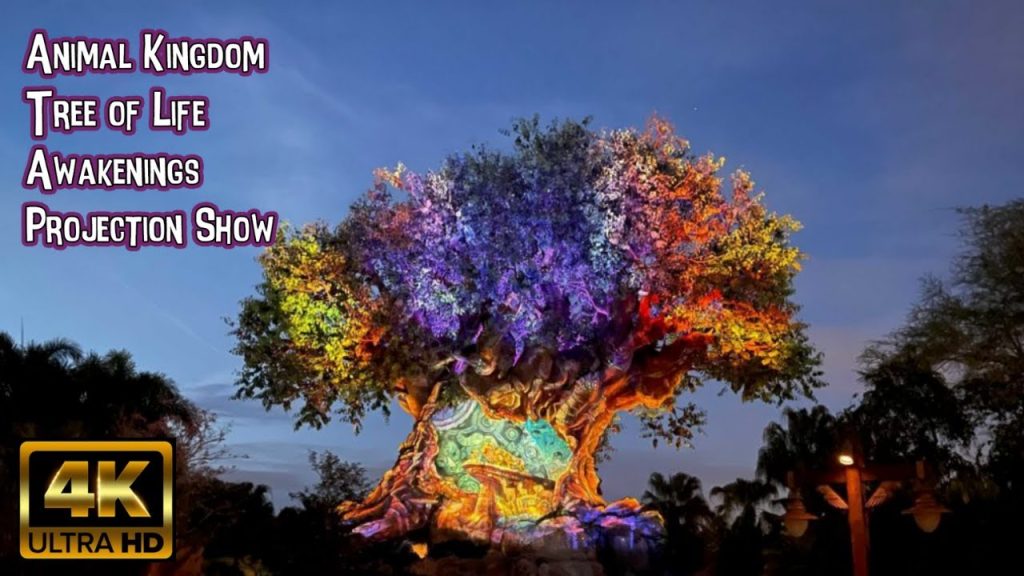 Animal Kingdom Awakenings Projection Show: Lion King | 4K POV  | Tree of Life: Walt Disney World