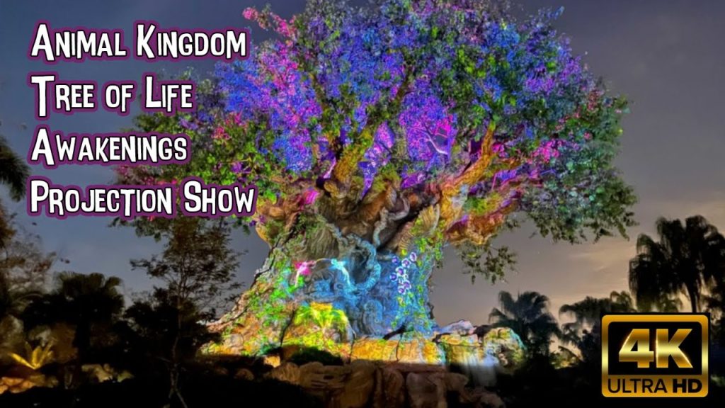 Animal Kingdom Awakenings Projection Show: Rendezvous | 4K POV | Tree of Life: Walt Disney World