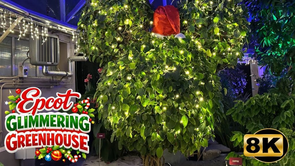 Disney Epcot Christmas Glimmering Greenhouse 8k ~ 2025
