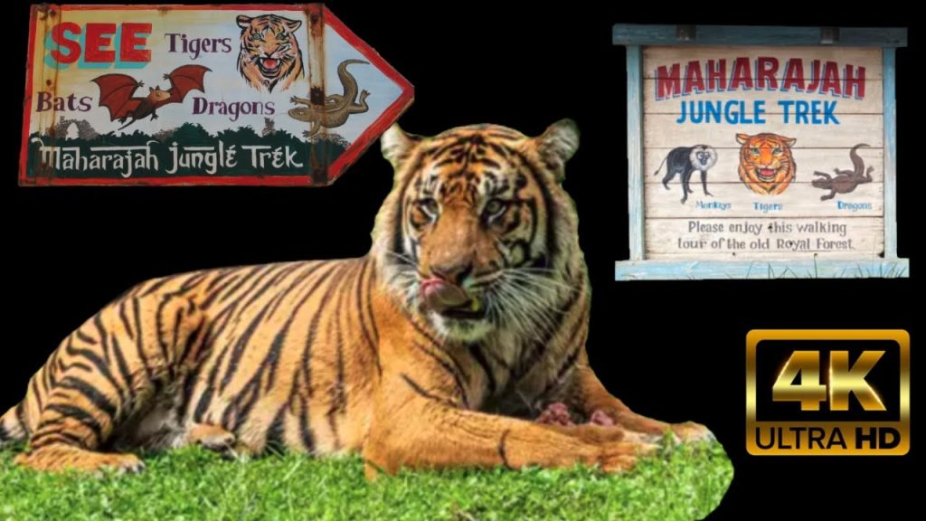 Maharajah Jungle Trek | 4K POV Full Show Attraction | Animal Kingdom:Walt Disney World