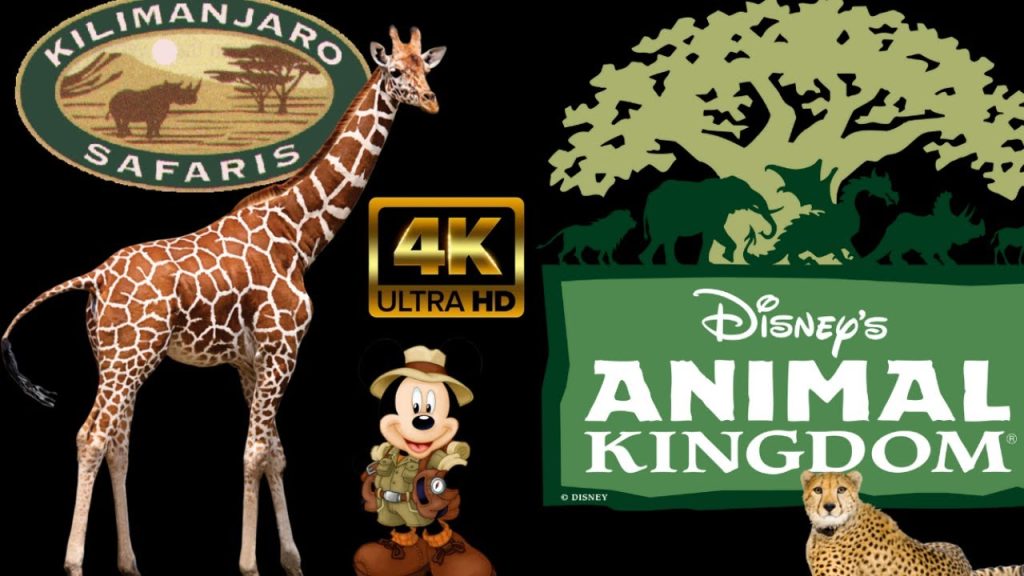 Kilimanjaro Safari –  4K POV  Full Ride Attraction -Animal Kingdom Park,  Walt Disney World