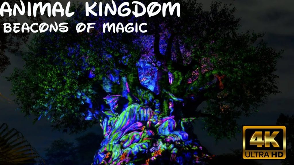 Animal Kingdom Beacons of Magic! | 4K POV Full Show Attraction | Tree of Life: Walt Disney World