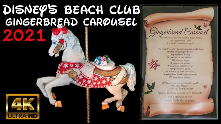 Disney Carousels