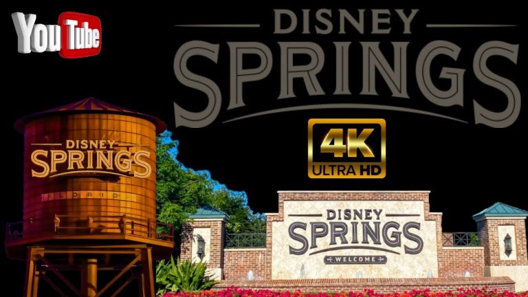 Disney Springs