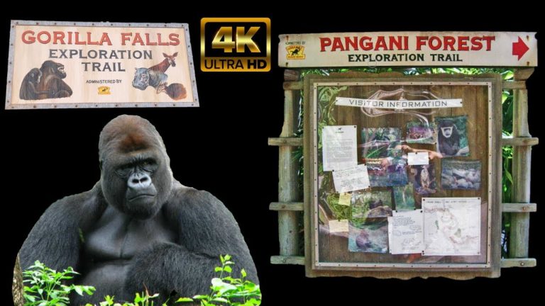 Animal Kingdom Animal Experiences