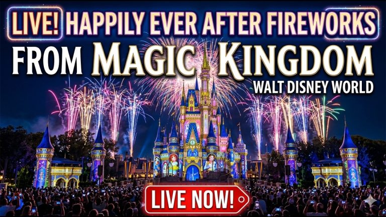 Disney Parks Magic Kingdom LIVE Happily Ever After Fireworks