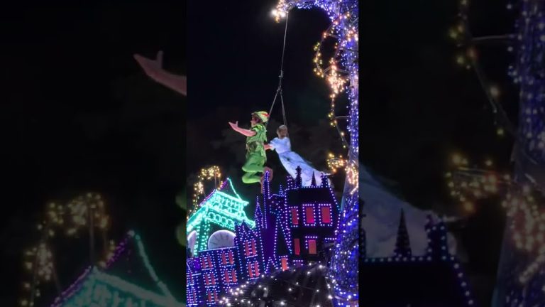 Disney’s NEW Starlight Parade: Peter Pan & Wendy​Fly!